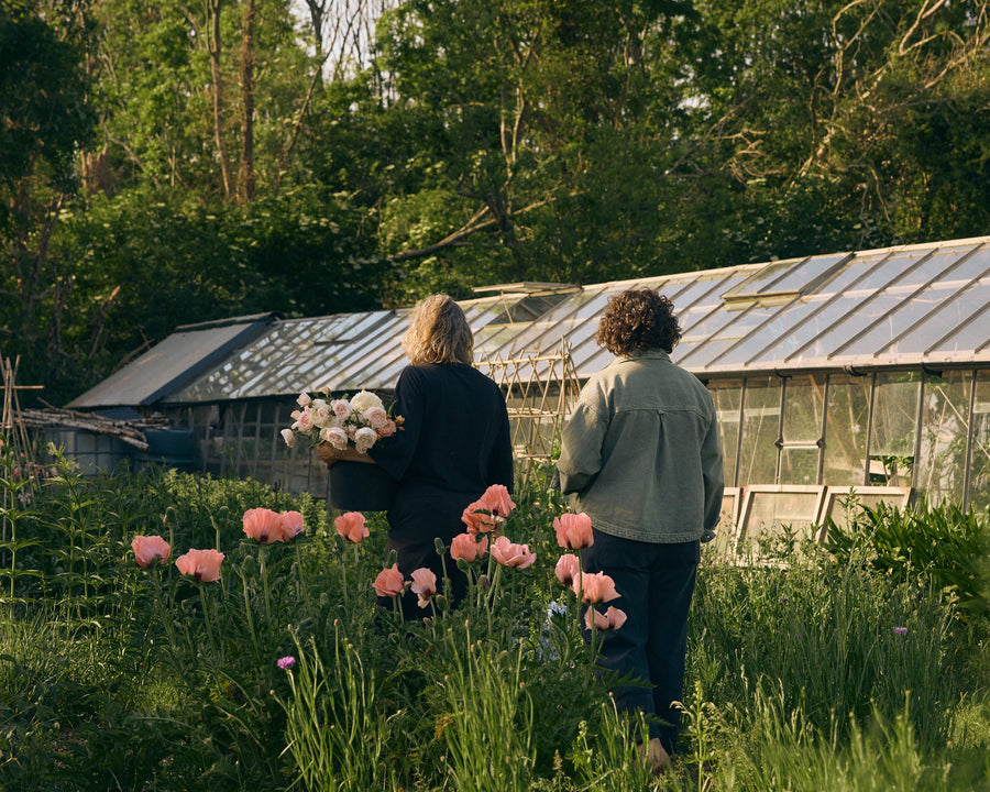 Our flower farm